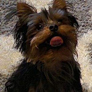 Meet your Posher, Jessica